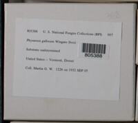 Image Associated With the Occurence